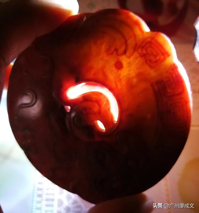 会唱黄土高坡的鹦鹉在线播放:你们知道的精神病人后来怎么样了？