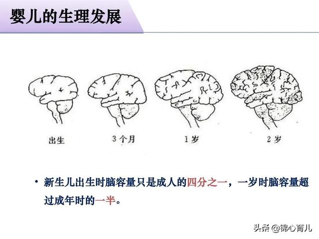 性格对一个人一生的影响有多大？