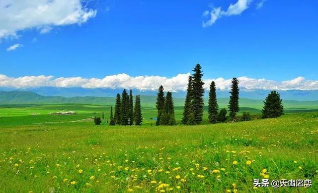 那拉提草原:那拉提草原图片