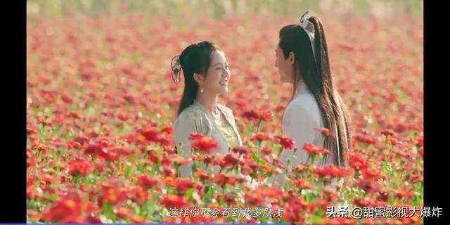 头条问答 花是怎么长出来的 甜蜜影视大爆炸的回答 0赞