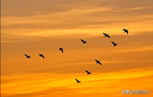 花荣射雁为什么选第三只？在三国关兴射雁也选第三只,这是为何？