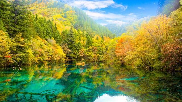 四川排名前十的旅游景点都有哪些？
