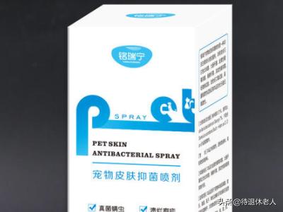 海口宠物皮肤病哪里治:海南海口养狗（拉布拉多）需要特别注意什么？