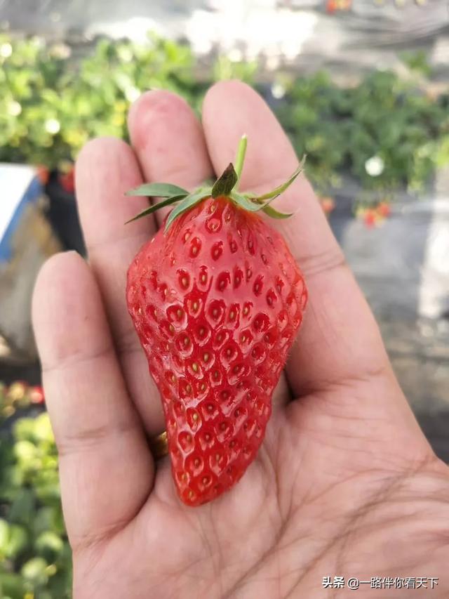 不花钱可以创业吗？