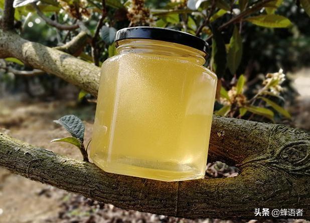 头条问答 蜂蜜过期两年了还可以吃吗 71个回答