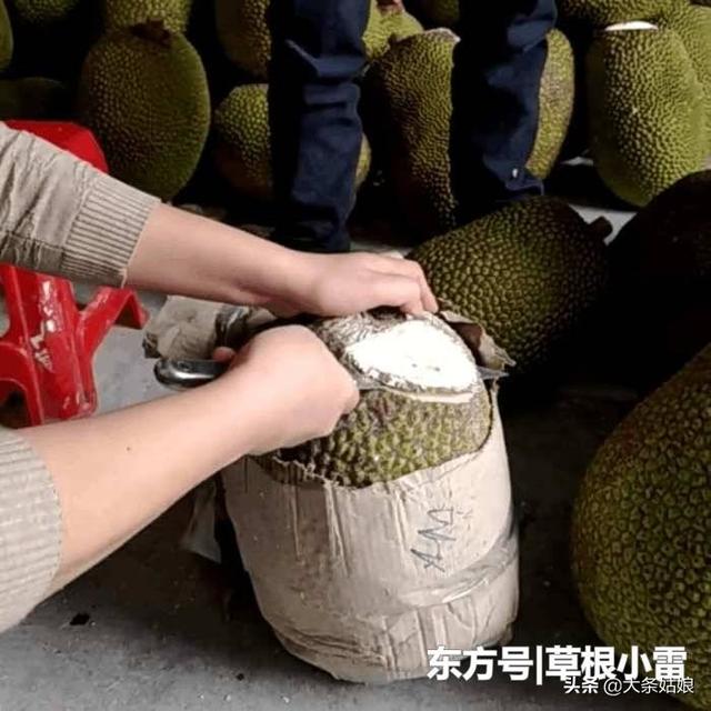 菠萝蜜有减肥功效吗:波罗蜜的功效与禁忌有哪些？