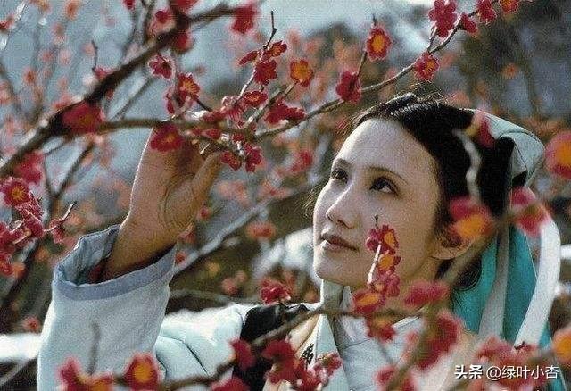 拒绝泰国王子求婚:泰国王子流浪异国 有人认为《红楼梦》里妙玉身为出家人一点都不慈悲，你怎么看？