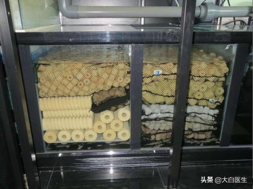 古牧价格底缸 滴流:80鱼缸放多少根细菌屋？