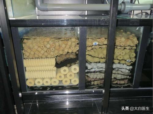 滴流一定要用生化球么:80鱼缸放多少根细菌屋？