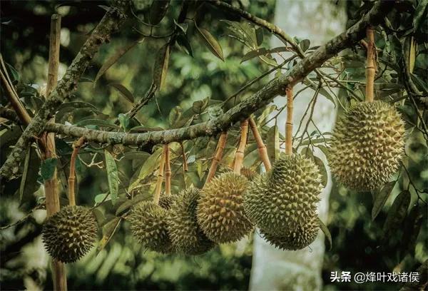 有什么是你去过新加坡才知道的
