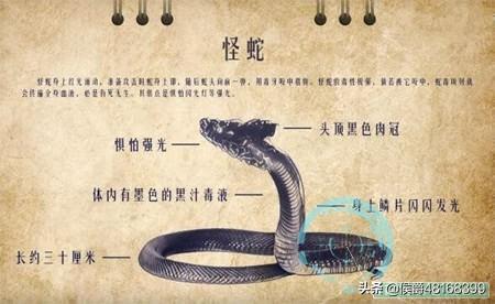 霸王蝾螈:有哪部原著改编影视作品与你的想象不谋而合？