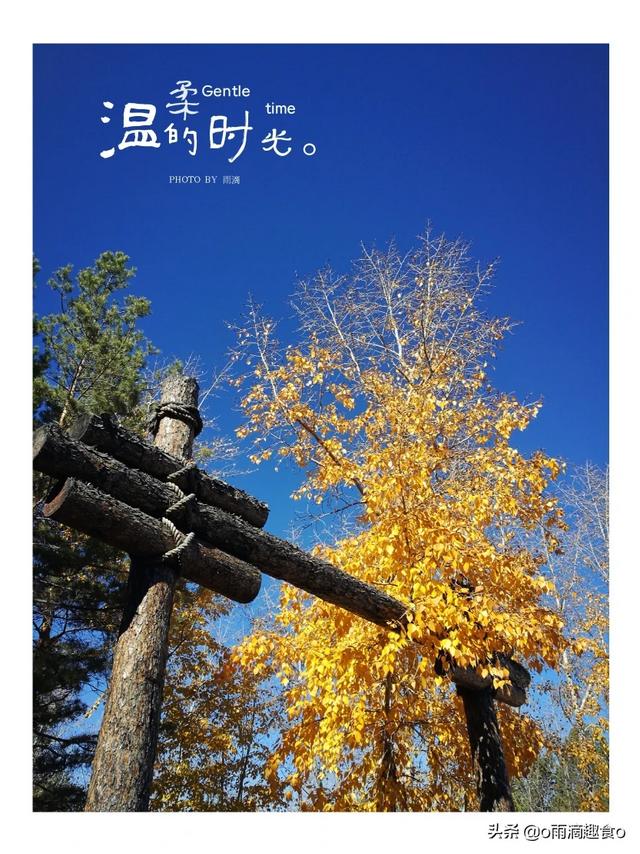 我的华为用了两年卡的不行了，想问用华为的手机最长用几年？插图4