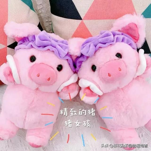 我的男友和狗:面对男友和爱犬，你们会怎么选择？
