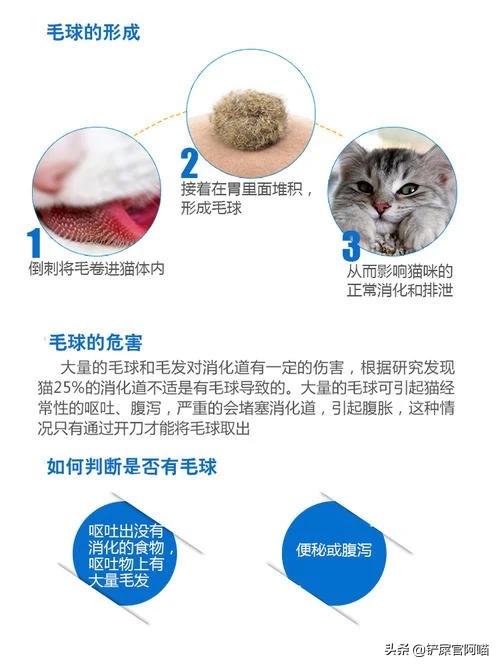 头条问答 化毛膏怎么保存 22个回答