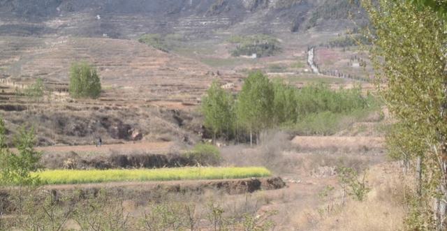 为什么现在农村小河基本都断流干枯了？