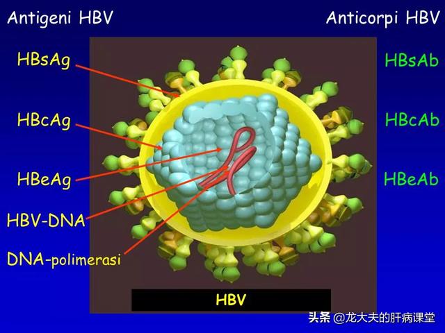 乙肝解毒胶囊怎么样(万岁乙肝解毒胶囊怎么样)