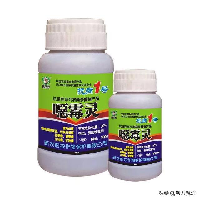 治闲灵的作用:恶霉灵都能防治什么病啊！作用机理是什么？