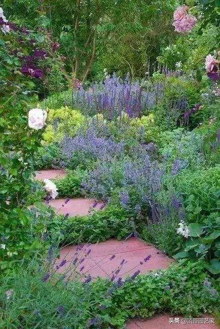 庭院花园小径、地面铺装如何最出彩？:什么的小径