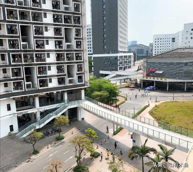 深圳大学灵异事件:考上深圳大学是什么样的体验？