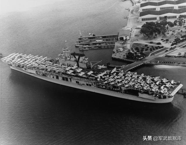 野猫战斗机:野猫战斗机图片 日本偷袭珍珠港时，为何美国的航母都不在港内？是巧合吗？