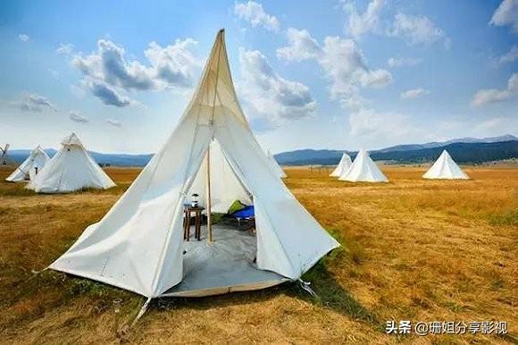 大学设狗屋助学生减压:香港TVB剧《解决师》是一部什么样的剧，好看吗？
