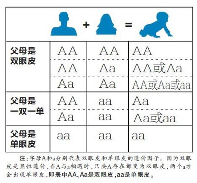 猛犬论坛:农村真的有“咬过人的狗必须杀掉或者卖掉”的规矩吗，你怎么看？