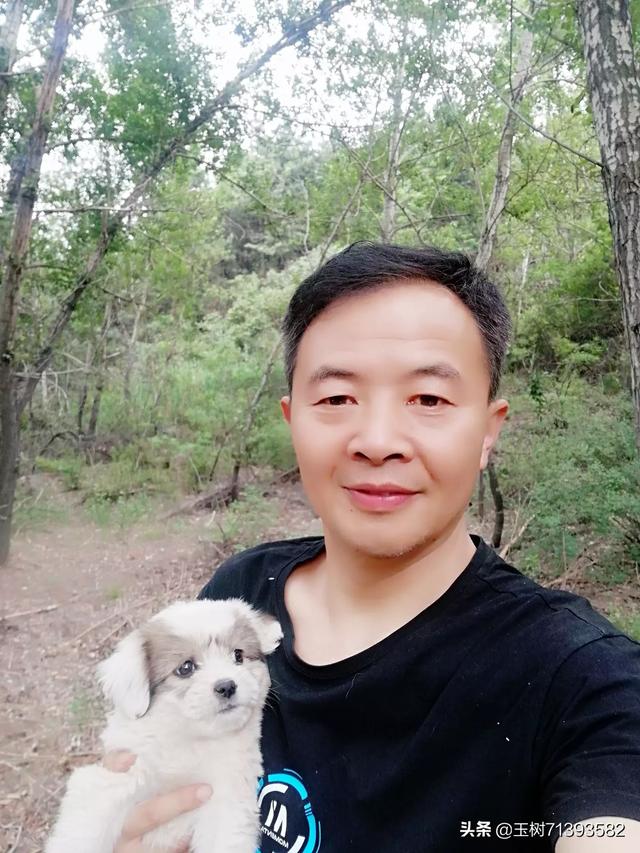 北京杜宾犬舍杜宾幼犬:狗换了新主人会想旧主人吗？