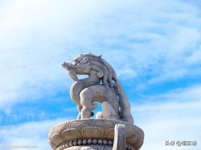 黑红色金毛犬图片:金毛犼怎么不加入青狮白象的队伍中去？ 黑金毛犬图片幼犬图片