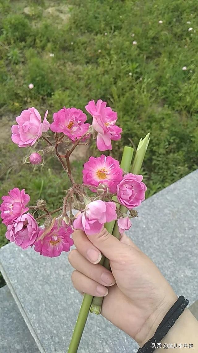穿越文的女主都穿到一个年代会是什么故事？