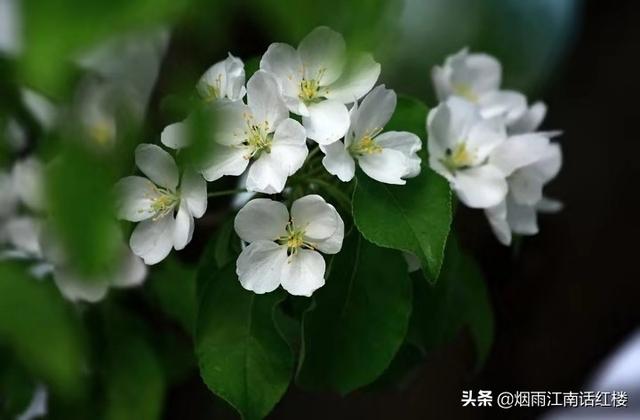 看到家里乱就很烦,回娘家看到家里乱糟糟的，又不好说怎么办？