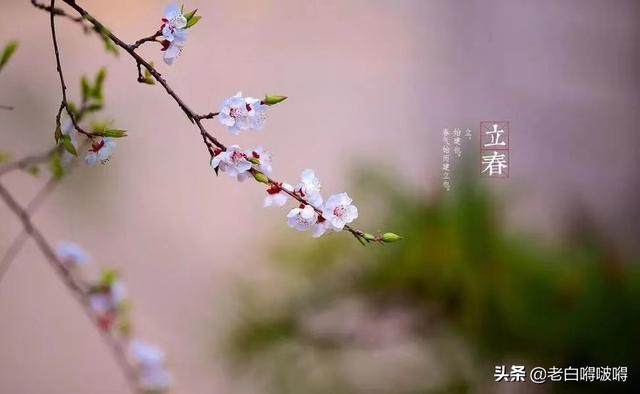 怎么样才可以招生引流呢？