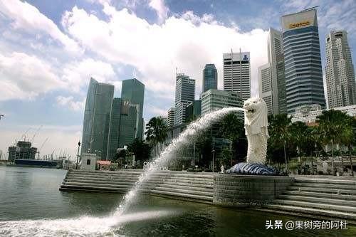华人目前在新加坡的社会地位如何？