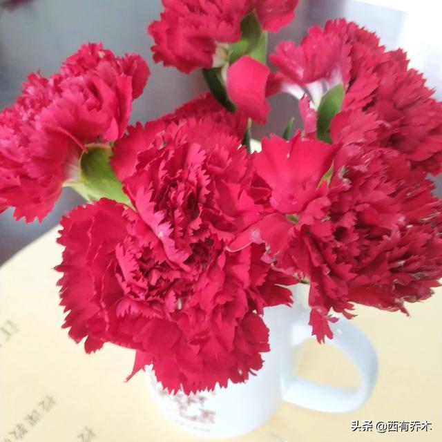 教师节老师最想要的礼物是什么？