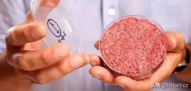 麦当劳推出人造肉汉堡，人造肉是否安全？