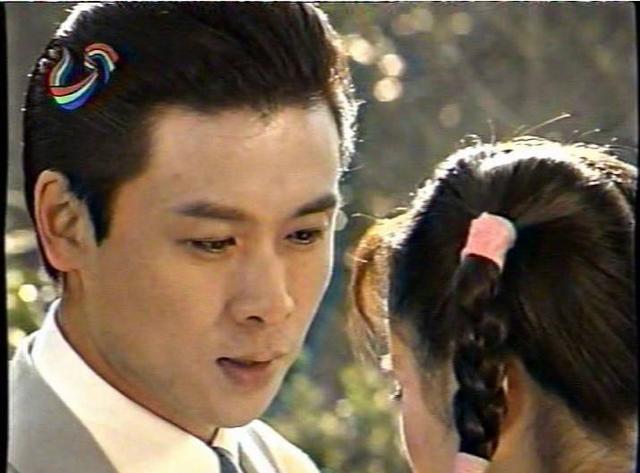 谁看过紫藤花园这部电视剧