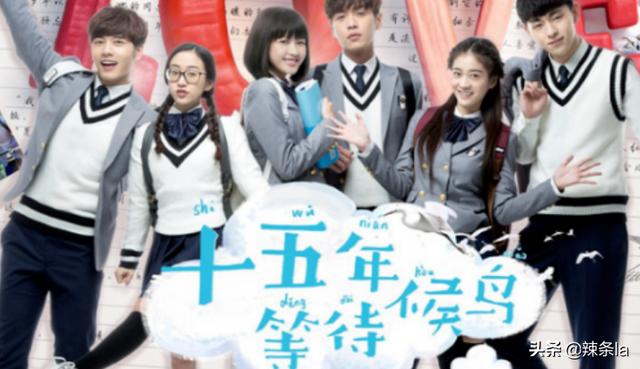 十五年等待候鸟:如何评价《十五年等待候鸟》？有什么出彩的地方？