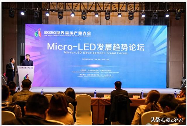 合肥联宝公寓灵异事件:世界显示 “屏”什么看合肥？