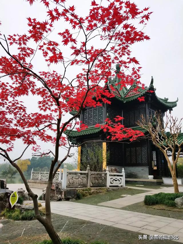 马云是资本家吗？