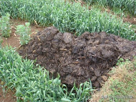 所谓有机肥到底是什么做的，有机肥好用吗？施用有机肥对土壤都有哪些好处？
