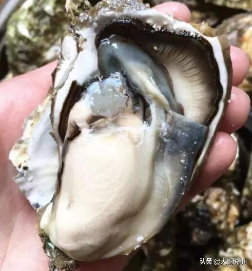 牡蛎有壮阳作用吗，谁吃过，牡蛎加工过的食品吗
