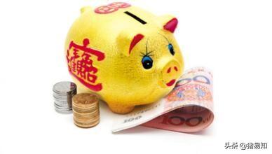 养一群微型猪是什么体验:养猪赚钱吗？小型养殖，十几只的样子。一年能赚多少钱？ 微型猪有什么特点