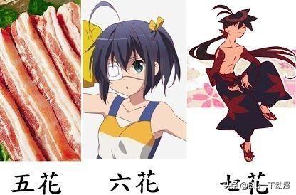 猫咪日常动漫全集:ACG圈有哪些著名的笑话（梗）？