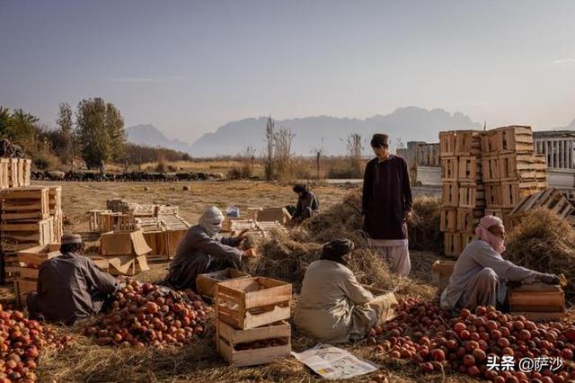 阿富汗会放弃种植鸦片吗，土地贫瘠的阿富汗靠什么养活4000万人口