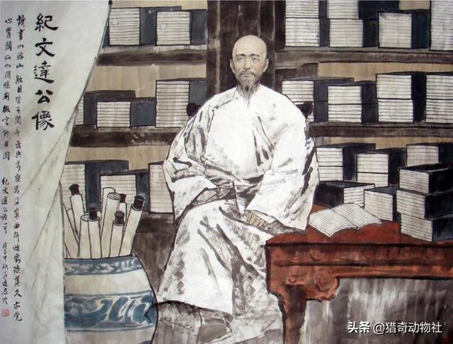 完达山一号东北虎:吉林男子野外遇东北虎，它实力有多强，滑铲能躲避攻击么？