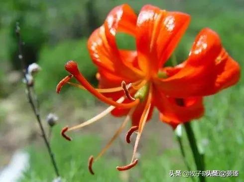 为什么渣男再渣也有女人爱