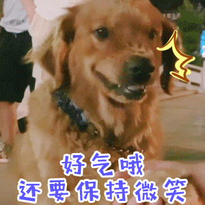 可爱萌宠图片:图片可爱萌萌哒头像 大家有没有什么萌宠表情包？越沙雕越可爱越好？