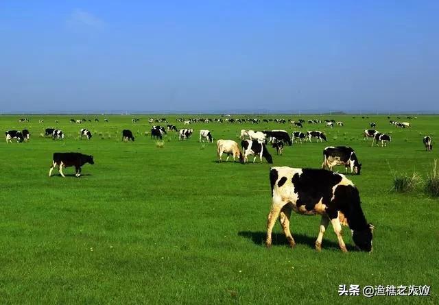 昭君出塞剧情介绍:匈奴呼韩邪单于去世后，王昭君在塞外的生活是怎样的