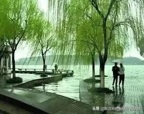 《咏柳》这首诗描写的是什么？春天里什么的样子？:咏柳是一首什么诗 第6张