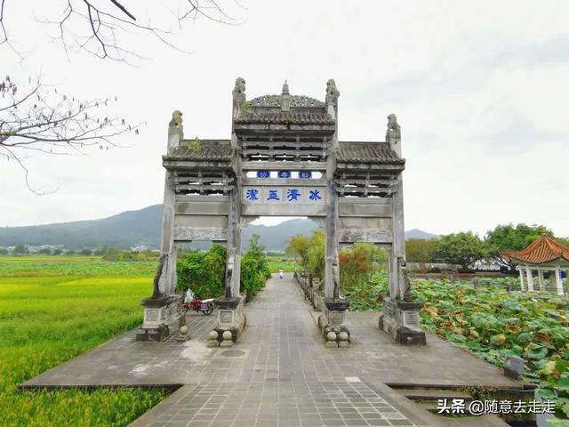 云南观鸟会:高黎贡山的最佳观鸟路线是怎样的？