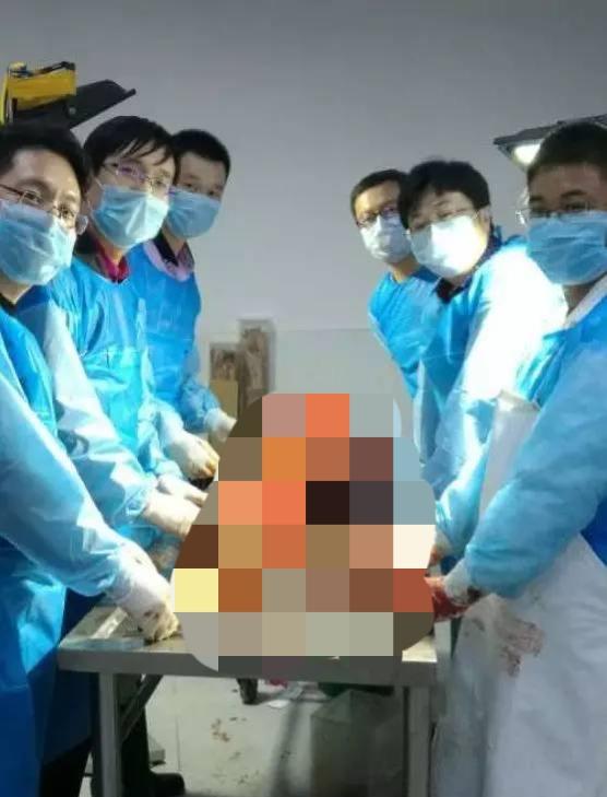 巨人观恐怖大全:法医对高度腐败的尸体（巨人观）是如何处理的，需要剖开尸体吗？